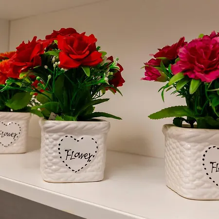 Apartament Le Rose Di Maria
