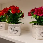 公寓 Le Rose Di Maria